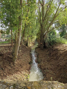 Trabajos de desbroce de los cauces del Borbotón, Peñahora y Mayor de Huete