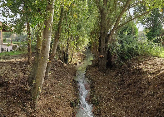 Trabajos de desbroce de los cauces del Borbotón, Peñahora y Mayor de Huete 1 Trabajos de desbroce de los cauces del Borbotón, Peñahora y Mayor de Huete