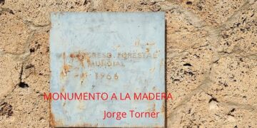 Dron. Monumento a la Madera en Tejadillos. Torner, 1966