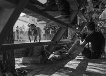 ‘Miradas del alma’, instantánea ganadora del 17º Concurso de Fotografía de ToroAlcarria 5 ‘Miradas del alma’, instantánea ganadora del 17º Concurso de Fotografía de ToroAlcarria