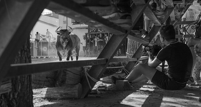 ‘Miradas del alma’, instantánea ganadora del 17º Concurso de Fotografía de ToroAlcarria