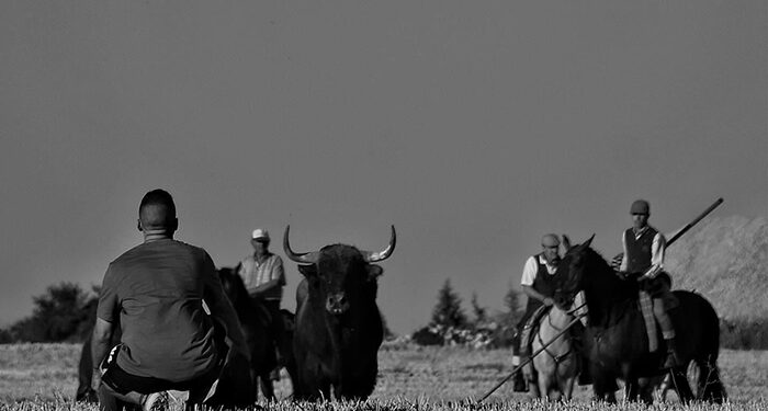 ‘Miradas del alma’, instantánea ganadora del 17º Concurso de Fotografía de ToroAlcarria
