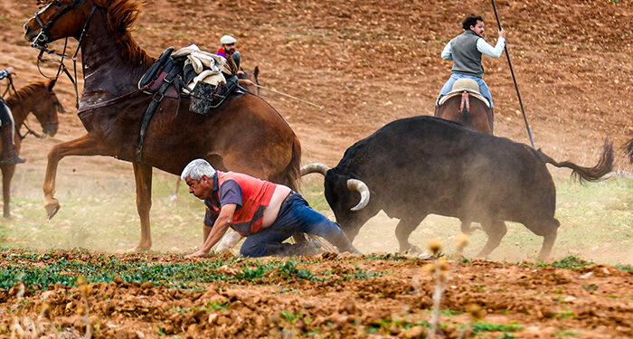 ‘Miradas del alma’, instantánea ganadora del 17º Concurso de Fotografía de ToroAlcarria