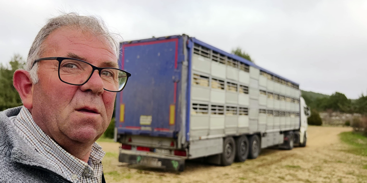 Trashumancia. Manolo Cardo:”¿Que nos forramos?, por eso salen todos los días ganaderos y pastores nuevos” 1 vlcsnap 00002 PEQUENA