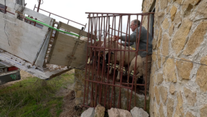 vlcsnap 00016 PEQUENA