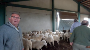 vlcsnap 00035 PEQUENA 1