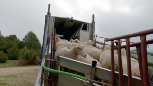 vlcsnap 00037 PEQUENA