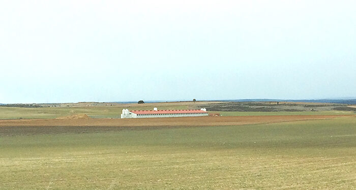 ASAJA Cuenca califica de “insuficiente” el nuevo decreto de gestión de purines pero valora la mejora conseguida respecto a la propuesta inicial de la Consejería de Desarrollo Sostenible 1 ASAJA Cuenca califica de “insuficiente” el nuevo decreto de gestión de purines pero valora la mejora conseguida respecto a la propuesta inicial de la Consejería de Desarrollo Sostenible