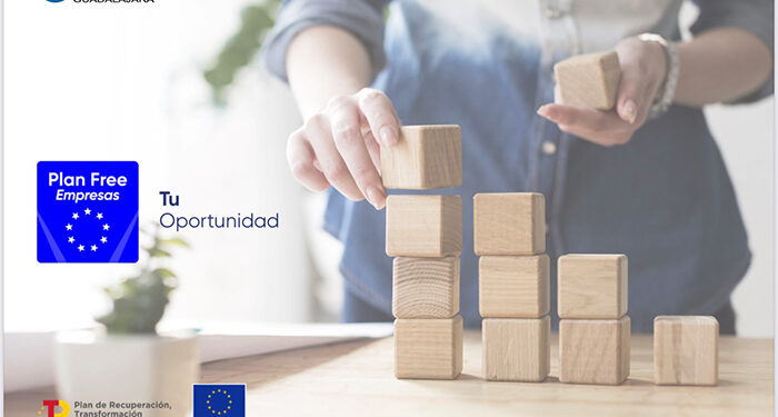 CEOE-Cepyme Guadalajara ha puesto a disposición de las empresas de la provincia 1.200.000 euros a través de los fondos europeos de resiliencia 1 CEOE-Cepyme Guadalajara ha puesto a disposición de las empresas de la provincia 1.200.000 euros a través de los fondos europeos de resiliencia