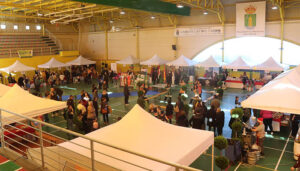 Cabanillas celebra el domingo la VIII Feria del Comercio