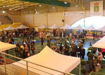 Cabanillas celebra el domingo la VIII Feria del Comercio