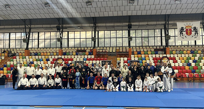 Celebrada la I Gala de Artes Marciales Ciudad de Cuenca 1 Celebrada la I Gala de Artes Marciales Ciudad de Cuenca