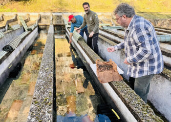 Comienza la reintroducción del cangrejo de río autóctono en la piscifactoría de Uña