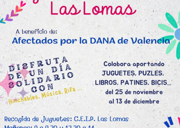 El colegio Las Lomas celebrará el 14 de diciembre el VII Mercadillo de Juguetes Solidarios dedicado a los afectados por la DANA en Valencia 10 Copia de Mercadillo de libros - 1