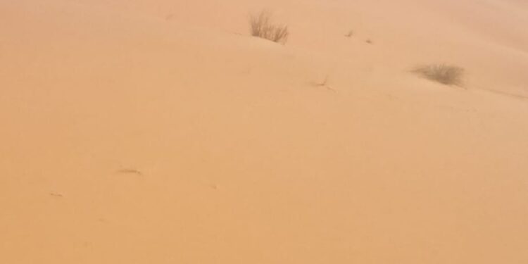 Dos conquenses en el Sáhara. Tercera etapa Tuareg: dunas, oasis de Oubira y lago Yasmina