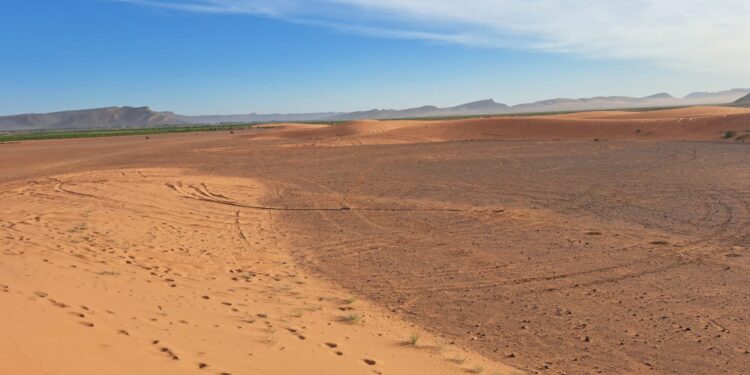 Dos conquenses en el Sáhara. Sexta jornada entre Taouz y Erfoud y, hoy, por el sur de Fez