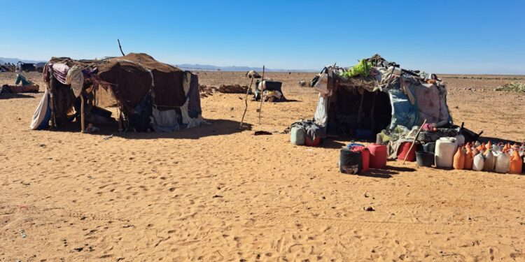 Dos conquenses en el Sáhara. En la séptima etapa nos encontramos con Fogaras y nieve