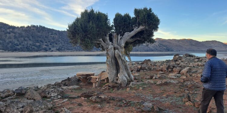 Dos conquenses en el Sáhara. Última jornada desde Ifrane a Nador y, ya, en el barco hacia Almeria