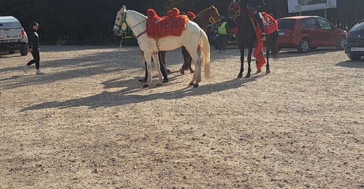 Dos conquenses en el Sáhara. Última jornada desde Ifrane a Nador y, ya, en el barco hacia Almeria