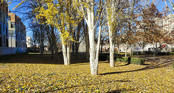 La AEMET confirma que noviembre en Guadalajara ha sido extremadamente cálido y seco