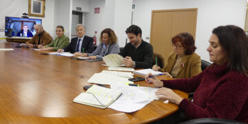 La Comisión de Asistencia a la Subdelegada analiza la actividad de la Administración General del Estado en Guadalajara