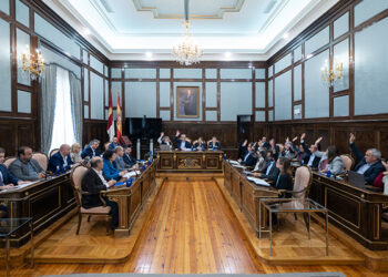 La Diputación de Guadalajara aprueba su presupuesto de 2025 con más inversiones y servicios a los pueblos 5 La Diputación de Guadalajara aprueba su presupuesto de 2025 con más inversiones y servicios a los pueblos