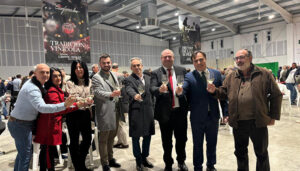 La Junta ha apoyado al sector vitivinícola en 2024 con 82,7 millones de euros