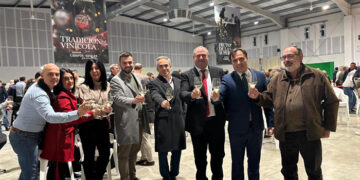 La Junta ha apoyado al sector vitivinícola en 2024 con 82,7 millones de euros