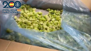 La Policía Nacional desarticula una organización criminal dedicada a enviar estupefacientes desde Guadalajara a Reino Unido camuflados entre brócoli congelado