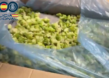 La Policía Nacional desarticula una organización criminal dedicada a enviar estupefacientes desde Guadalajara a Reino Unido camuflados entre brócoli congelado 8 La Policía Nacional desarticula una organización criminal dedicada a enviar estupefacientes desde Guadalajara a Reino Unido camuflados entre brócoli congelado