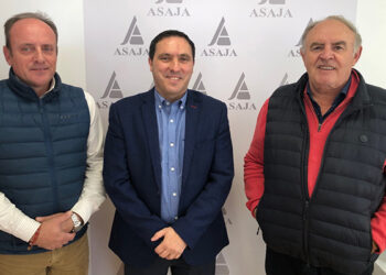 Martínez Chana anima a los conquenses a consumir productos de calidad de la provincia de Cuenca durante estas fiestas Martínez Chana anima a los conquenses a consumir productos de calidad de la provincia de Cuenca durante estas fiestas