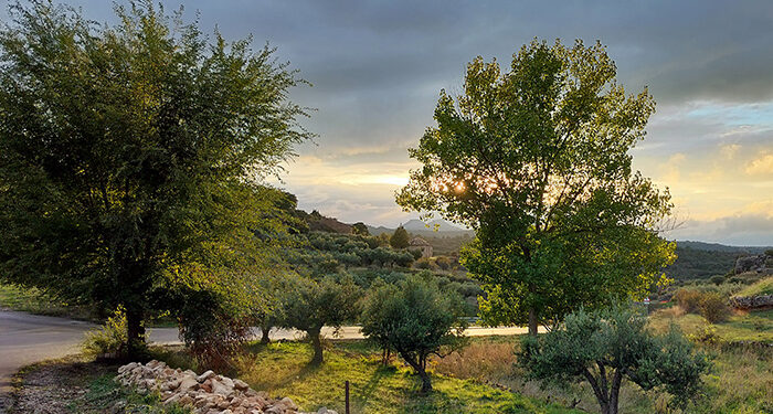 ‘Reflejos dorados sobre el Tajo’ se alza ganadora del VIII Concurso de Fotografía de Trillo