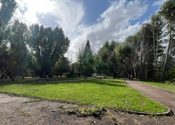 Parque de los Moralejos para área canina