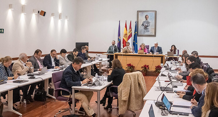 El último Pleno del año del Ayuntamiento de Guadalajara actualiza el inventario del patrimonio municipal 1 El último Pleno del año del Ayuntamiento de Guadalajara actualiza el inventario del patrimonio municipal