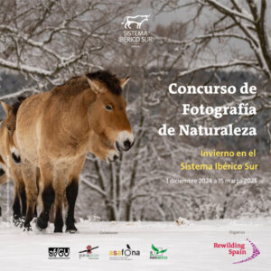 Primera edición del Concurso de Fotografía de Naturaleza ‘Invierno en el Sistema Ibérico Sur’