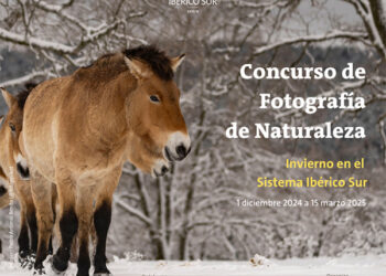 Primera edición del Concurso de Fotografía de Naturaleza ‘Invierno en el Sistema Ibérico Sur’ 6 Primera edición del Concurso de Fotografía de Naturaleza ‘Invierno en el Sistema Ibérico Sur’