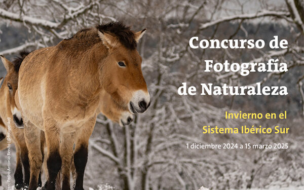 Primera edición del Concurso de Fotografía de Naturaleza ‘Invierno en el Sistema Ibérico Sur’