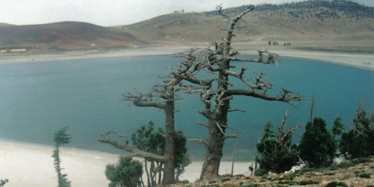 Dos conquenses en el Sáhara. En la séptima etapa nos encontramos con Fogaras y nieve