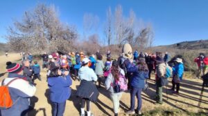 Campiñeando celebra su 23ª ruta de senderismo por los caminos de la Campiña Alta de Guadalajara