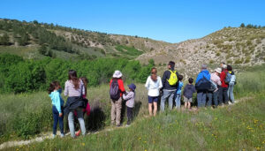 Castilla-La Mancha celebra el Día Mundial de la Educación Ambiental con actividades gratuitas para todos los públicos