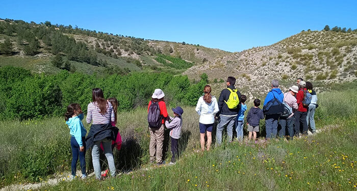 Castilla-La Mancha celebra el Día Mundial de la Educación Ambiental con actividades gratuitas para todos los públicos 1 Castilla-La Mancha celebra el Día Mundial de la Educación Ambiental con actividades gratuitas para todos los públicos
