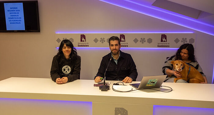 Centro Municipal de Acogida de Animales de Guadalajara registra una tendencia a la baja en el abandono de perros