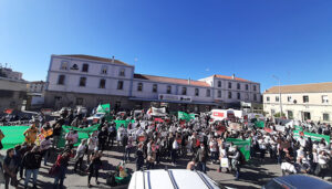 Cuenca en Marcha pide crear ya la ordenanza para restringir macrogranjas y vetar plantas de biogás