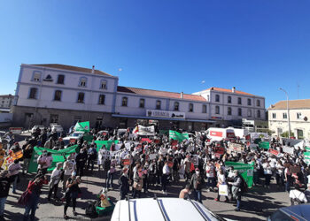 Cuenca en Marcha pide crear ya la ordenanza para restringir macrogranjas y vetar plantas de biogás