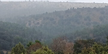 Declaradas de Utilidad Pública cerca de 877 hectáreas de monte en el municipio de Cañete