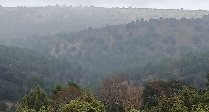 Declaradas de Utilidad Pública cerca de 877 hectáreas de monte en el municipio de Cañete