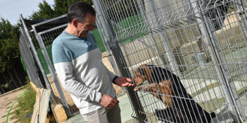 El Albergue Provincial de Animales de Cuenca finaliza 2024 habiendo tenido más adopciones que entradas de perros abandonados