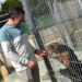 El Albergue Provincial de Animales de Cuenca finaliza 2024 habiendo tenido más adopciones que entradas de perros abandonados