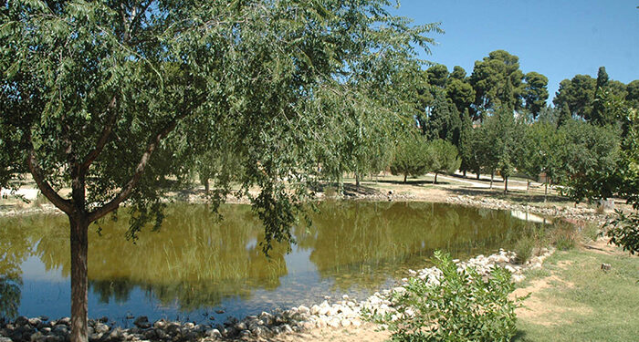El Ayuntamiento de Azuqueca acomete la limpieza de la laguna de La Quebradilla 1 El Ayuntamiento de Azuqueca acomete la limpieza de la laguna de La Quebradilla
