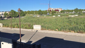 El Ayuntamiento de Cabanillas tramita 275 expedientes sancionadores por incumplimientos en la limpieza y mantenimiento de parcelas